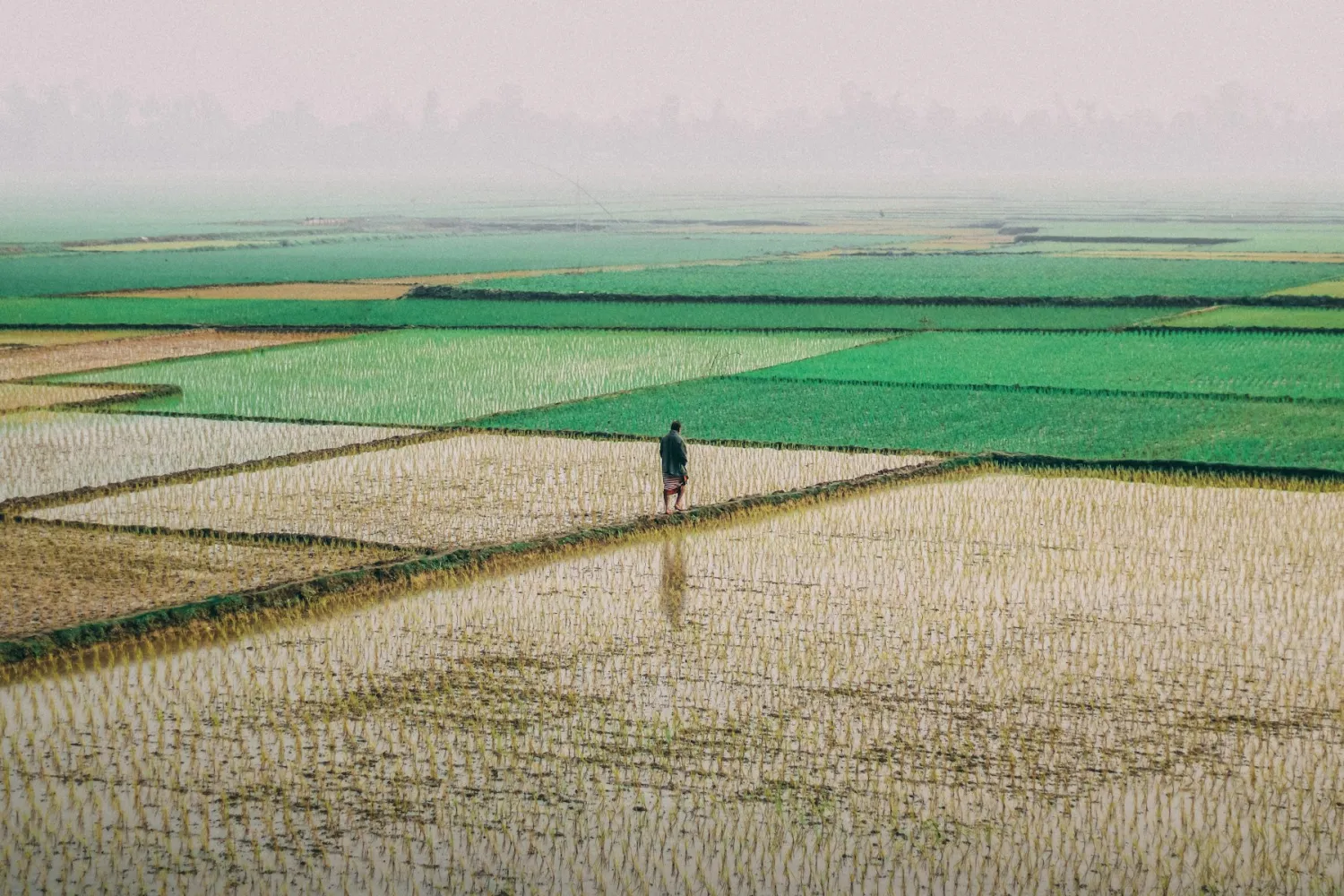 Agro Business